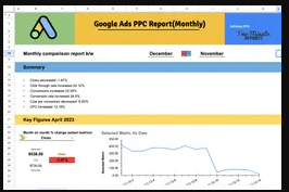 Google Ads - Monthly Performance Analysis