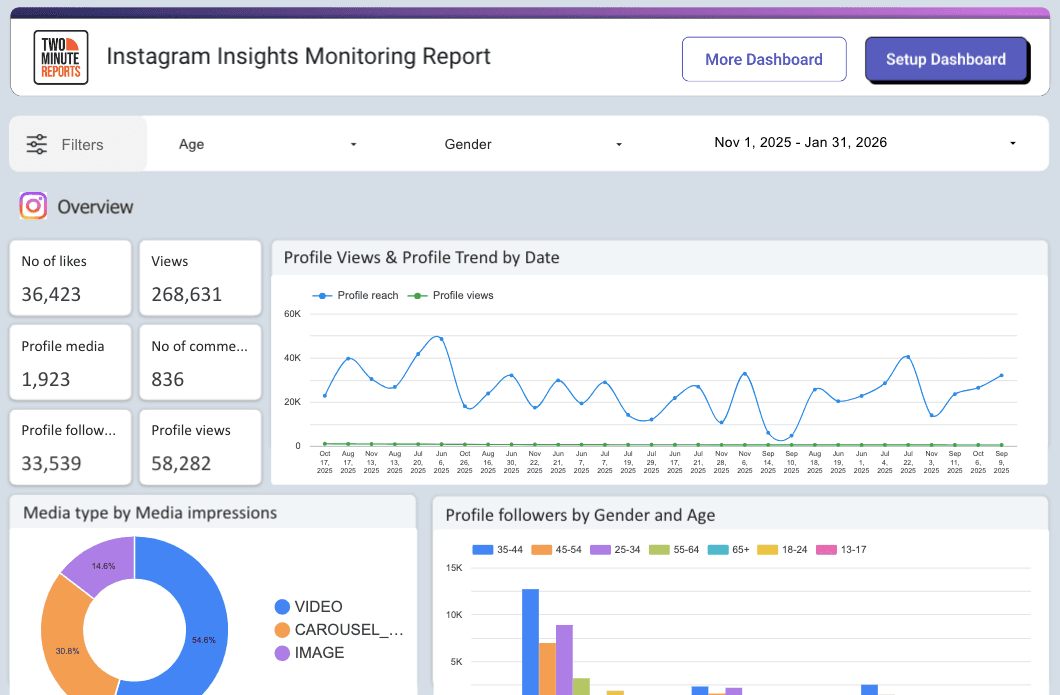 Instagram Insights Monitoring Report