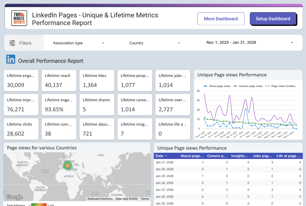 LinkedIn Pages - Unique & Lifetime Metrics Performance Report