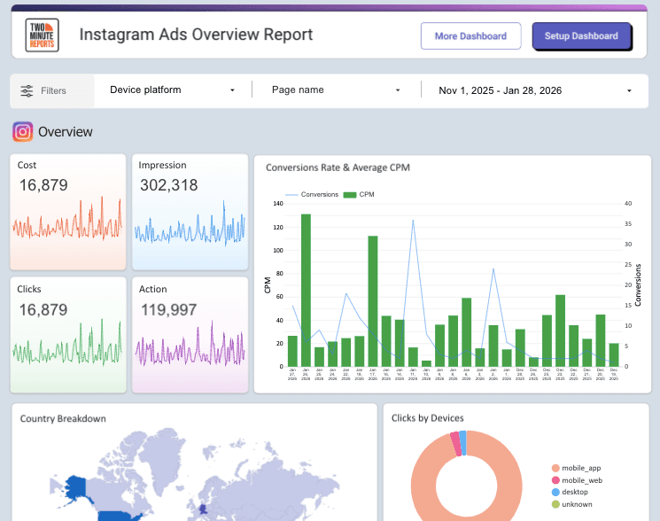 Instagram Ads Overview Report